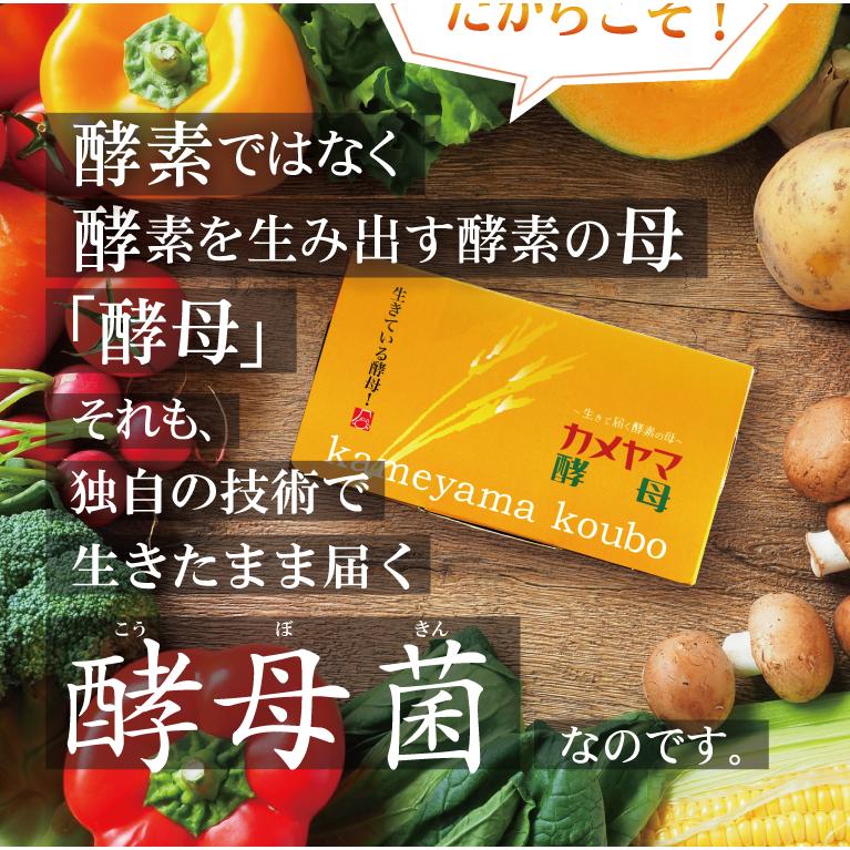 ダイエット食品 ジャームコロン 60粒 酵母菌入り2箱