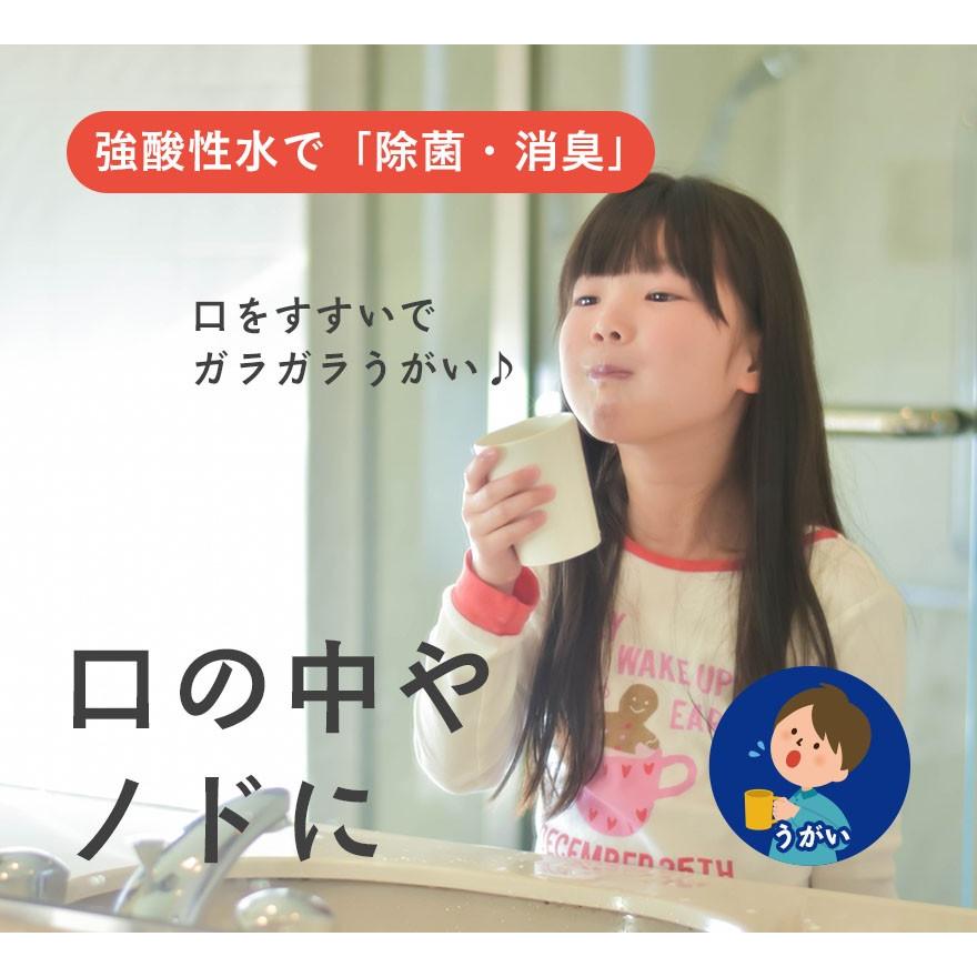 亀山堂 強酸性水 2L 除菌水 消臭 電解水 赤ちゃん おもちゃ ペット