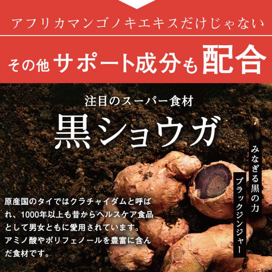 亀山堂 ワイルドマンゴーの力 A エラグ酸 機能性表示食品 30日 亀山堂 ワイルドマンゴーの力 A エラグ酸 機能性表示食品 30日