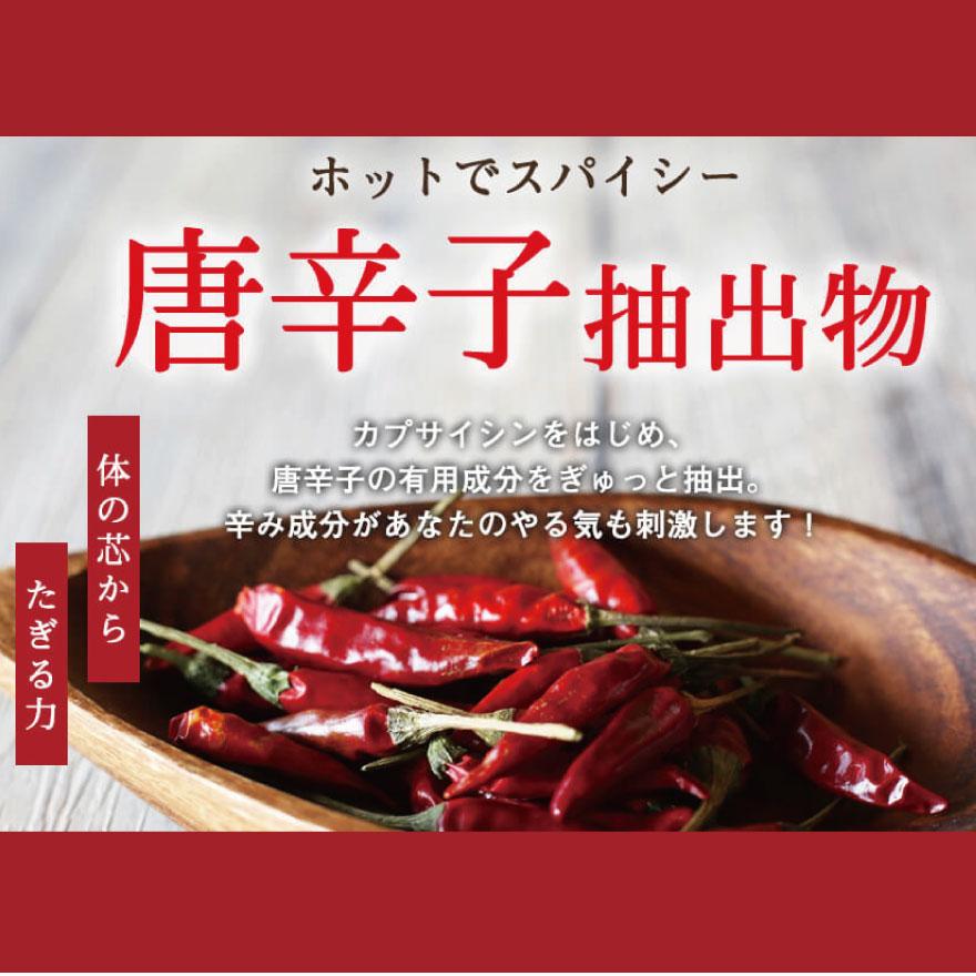 亀山堂 ワイルドマンゴーの力 A エラグ酸 機能性表示食品 30日 亀山堂 ワイルドマンゴーの力 A エラグ酸 機能性表示食品 30日