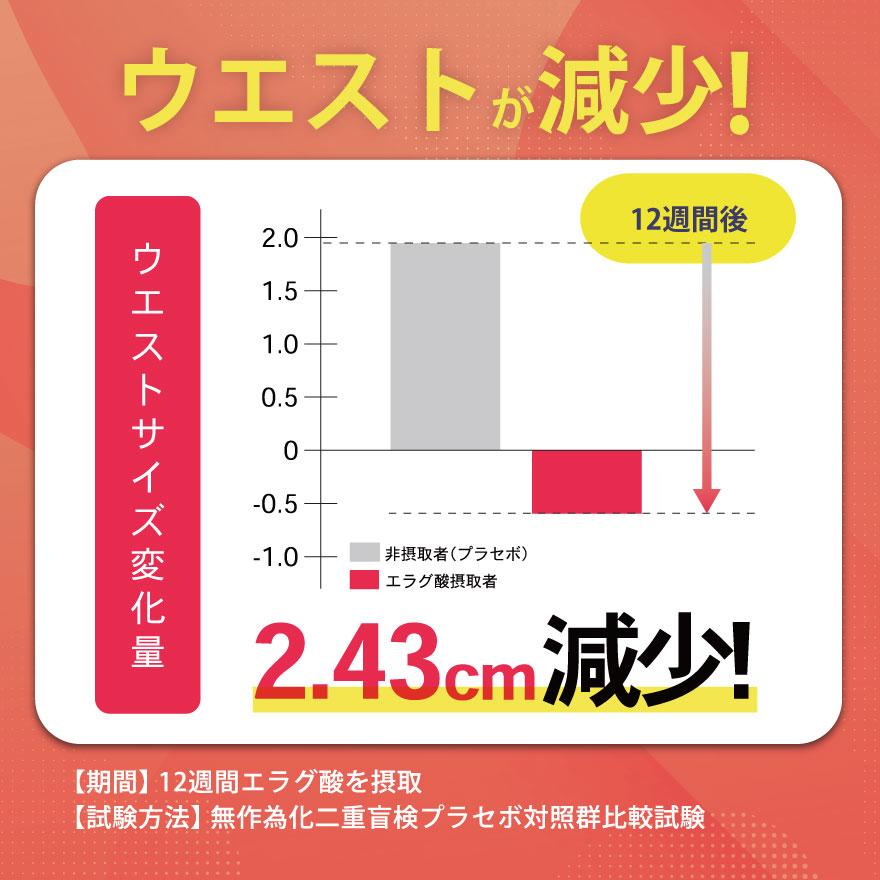 亀山堂 ☆GW限定16%OFF☆亀山堂 ワイルドマンゴーの力 A 亀山堂 ☆GW限定16%OFF☆亀山堂 ワイルドマンゴーの力 A