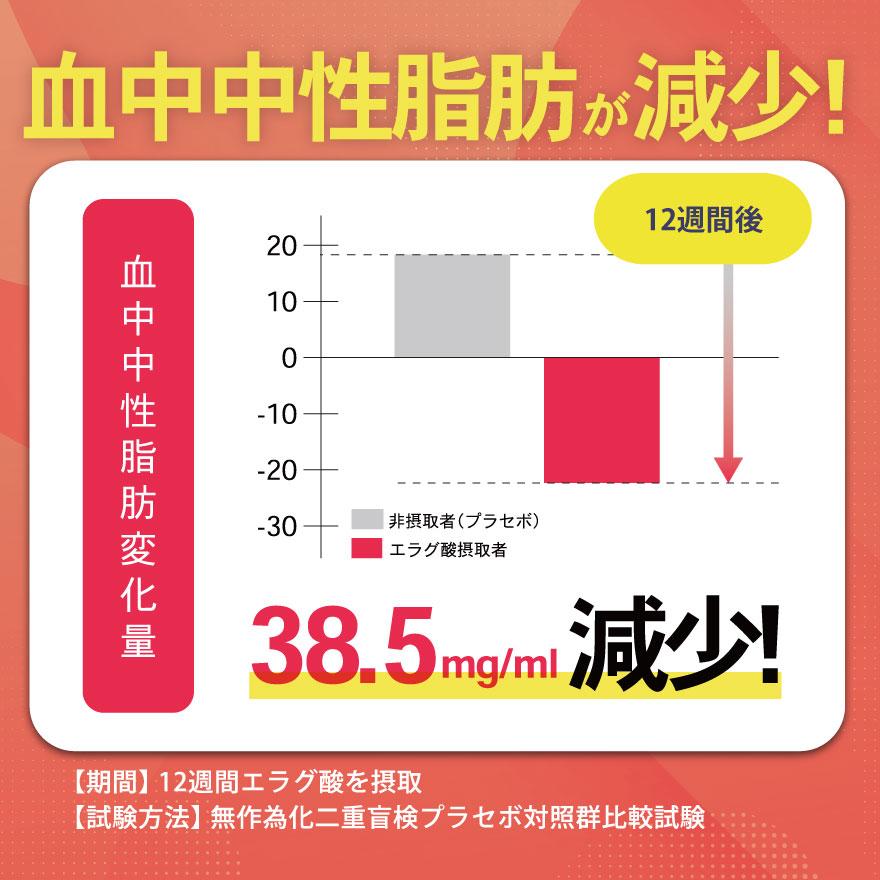 亀山堂 ワイルドマンゴーの力 A エラグ酸 機能性表示食品 30日 亀山堂 ワイルドマンゴーの力 A エラグ酸 機能性表示食品 30日