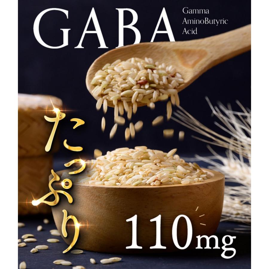 亀山堂 睡眠サプリ GABA 3300mg 還元型コエンザイムQ10 3000mg 30日分 