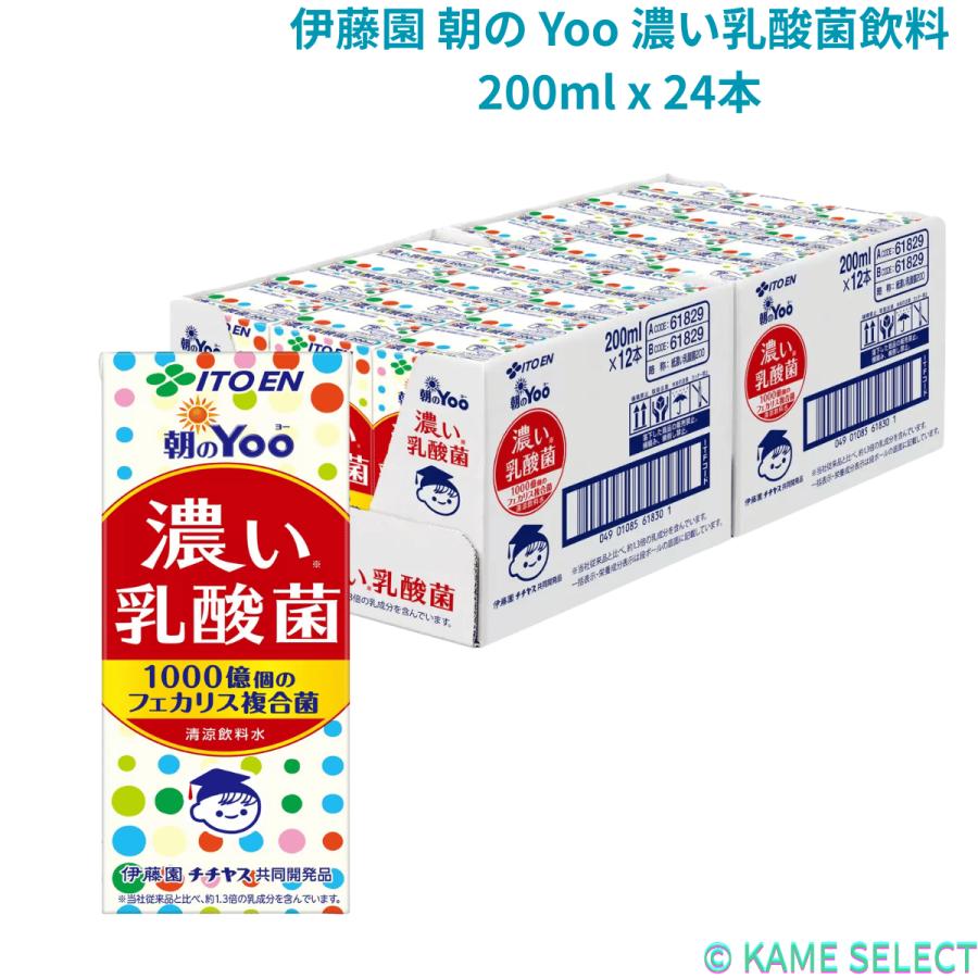 朝のYoo 伊藤園 朝の Yoo 濃い乳酸菌飲料 200ml x 24本 : 亀山商店