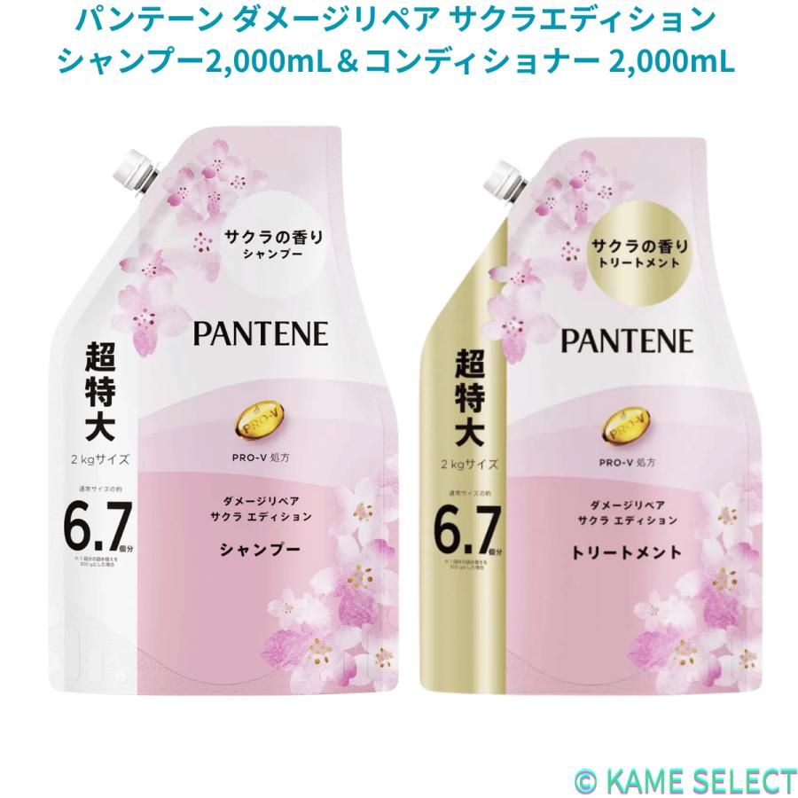 パンテーン 【数量限定】【お得なセット】パンテーン ダメージリペア
