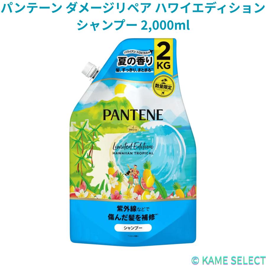 パンテーン 【数量限定】【お得なセット】パンテーン ダメージリペア