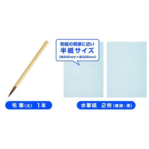 墨を使わずに文字が書ける 水書きお習字練習シート パイロット Msn 100p 0214item104 紙 文具 ひかりyahoo 店 通販 Yahoo ショッピング