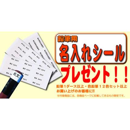 太い芯（4mm径）硬筆かきかた鉛筆（ダース入）（書写用かきかた