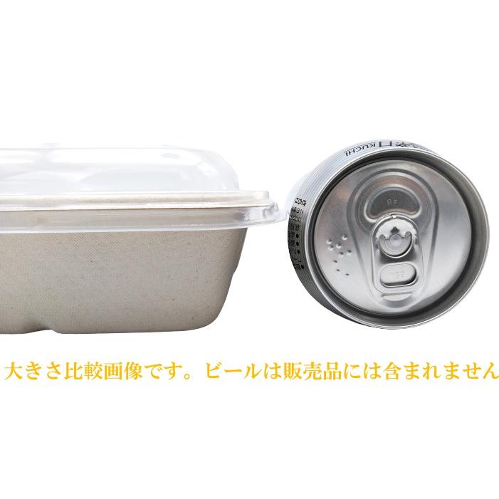 国産品 キッチンカー 食品容器 ボックス 紙 紙トレイ 紙容器 おしゃれ 容器 テイクアウト フードパック バガス パルプモールド 48円 300枚 環境配慮 9 9 枚単価 Sbt Pp蓋22 6cm角パルプトレイ ランチボックス カフェ 電子レンジ対応 容器 使い捨て 業務用 丼