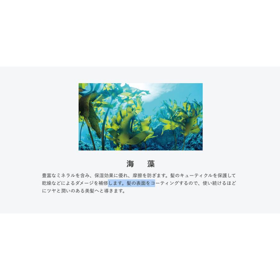 選べる3本セット送料無料 テンスター ヘナ ヘアカラートリートメントN