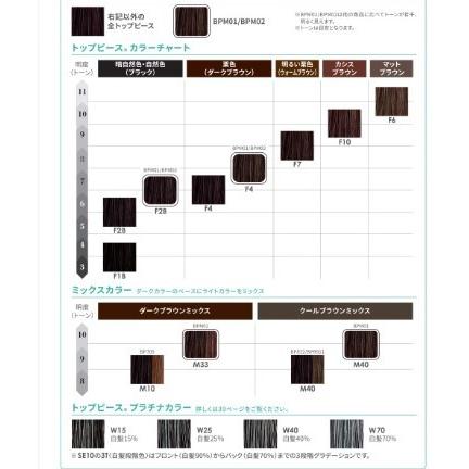 フォンテーヌ ウイッグ トップピース BPM02 ウィッグ かつら 株式会社
