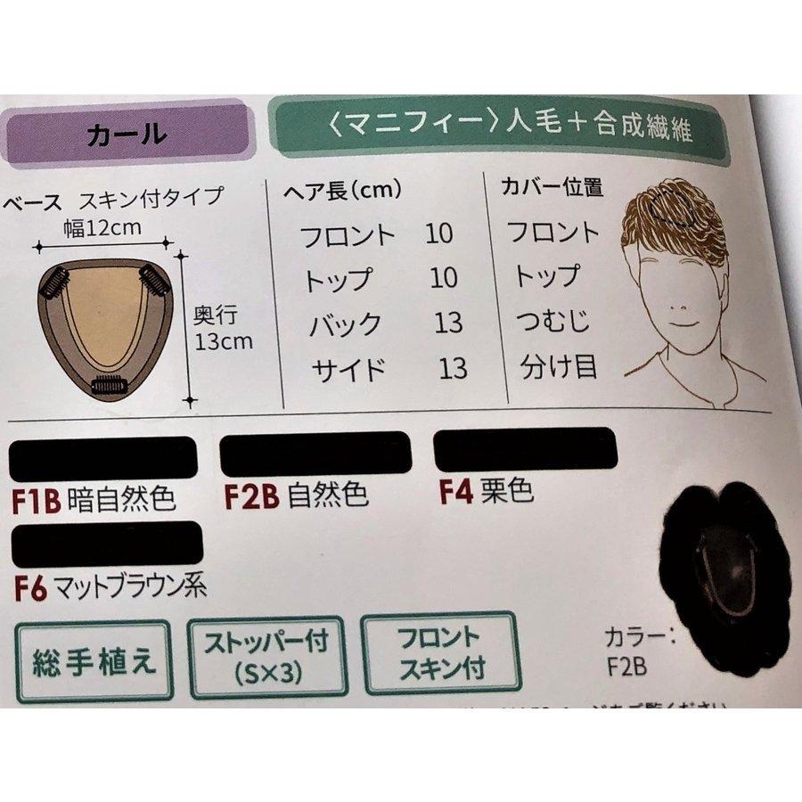 フォンテーヌ ウイッグ マニフィー トップピース BPR916 : 髪 フォンテーヌ ウイッグ マニフィー トップピース BPR916 : 髪