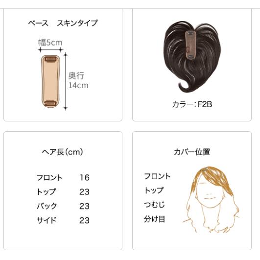フォンテーヌ ウイッグ マニフィー トップピース BPR921 : 髪 フォンテーヌ ウイッグ マニフィー トップピース BPR921 : 髪