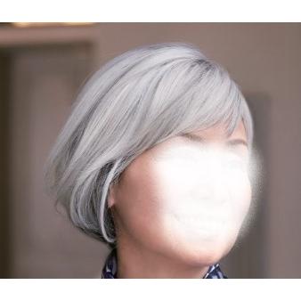 新品タグ付 フォンティーヌ ウイッグ ウィッグをさがす-ブランド | 【公式】ウィッグ、女性用かつらの