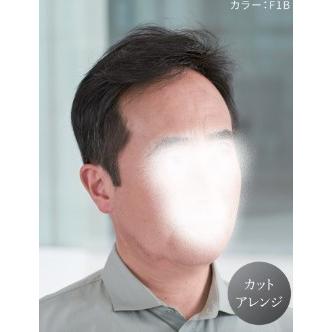 フォンテーヌ　フルウィッグ　MS01 フォンテーヌ 男性用 ウイッグ トップピース MEP01 : 髪美人