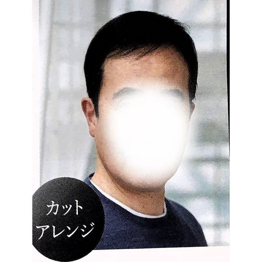 フォンテーヌ　フルウィッグ　MS01 フォンテーヌ 男性用 ウイッグ トップピース MEP01 : 髪美人