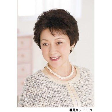 レオンカ 部分 ウイッグ ハイパック SF-T308 : 髪美人 - 通販 レオンカ 部分 ウイッグ ハイパック SF-T308 : 髪美人 - 通販
