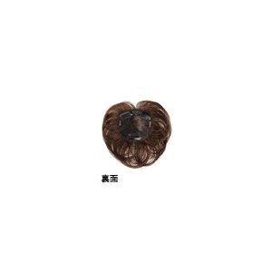レオンカ 部分 ウイッグ ハイパック SF-T308 : sf-t308 : 髪美人 