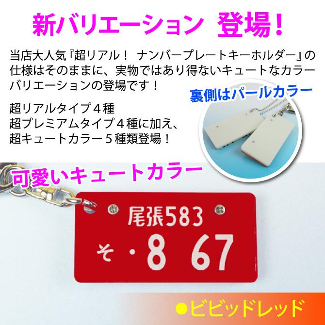 プレゼント ナンバープレートキーホルダー キュートタイプ
