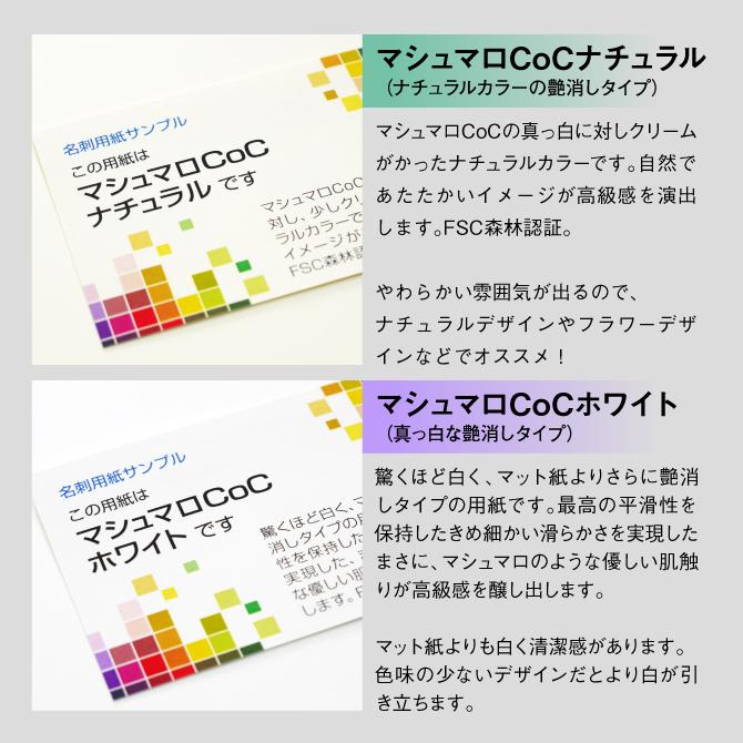 名刺作成 名刺 おしゃれ かっこいい ビジネス［VCS シンプルデザイン］《100枚入》安い/シンプル/モノクロ/印刷/リピート/【メール便送料当店負担】 |  | 07