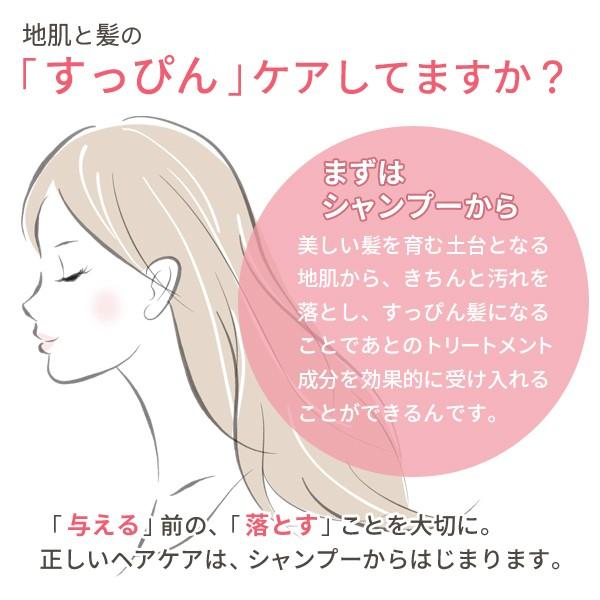ルベル イオ クレンジング シャンプー クリーム トリートメント 1000ml 選べるセット 詰め替え ヘアサロン専売品 K Kamicosme シュワルツコフ ナプラ 通販 Yahoo ショッピング