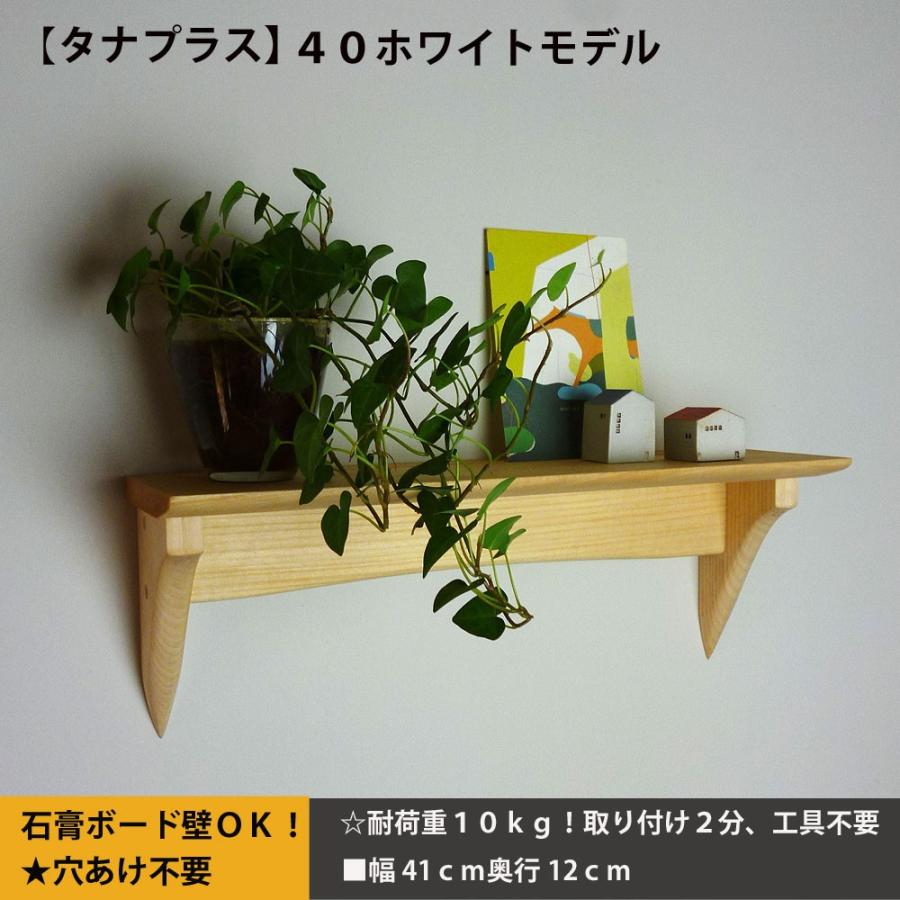 flk019584