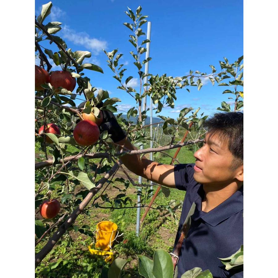 グルテンフリー マドレーヌ お菓子 スイーツ 焼き菓子 米粉マドレーヌりんご味8個入 ケーキ 北海道 米粉 マドマドレ 簡易包装｜kamihokiseika｜19