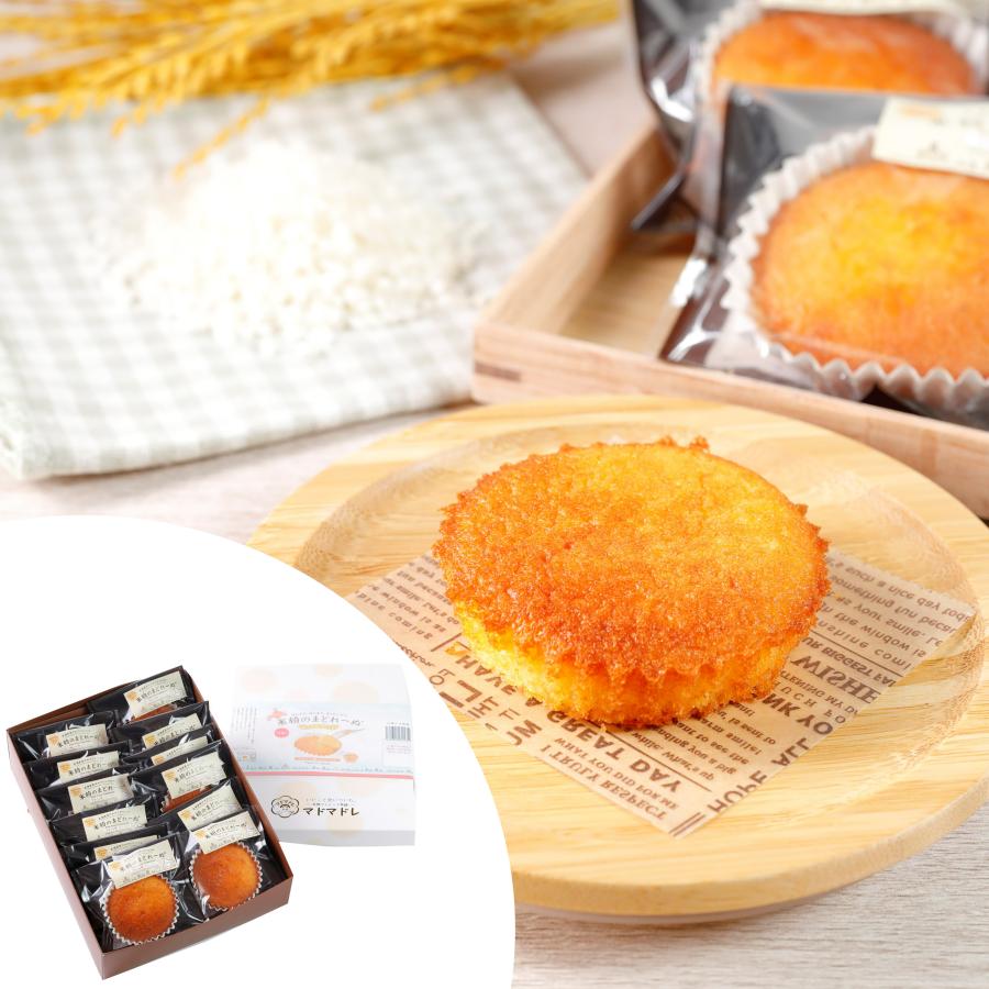 米粉 プレーン味 マドレーヌ 贈答用 12個 スイーツ お菓子 焼き菓子 グルテンフリー 化粧箱 北海道 ギフト プレゼント マドマドレ | ブランド登録なし