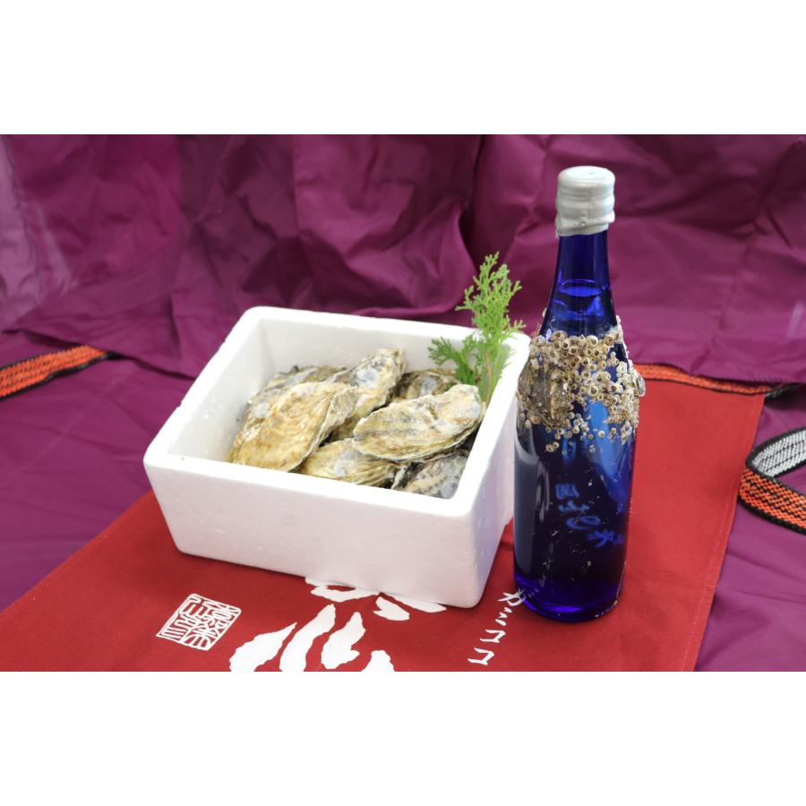 2026年1月発送）牡蠣と共に育つ酒2025 【海中熟成酒720ml1本 寄島産
