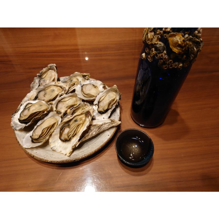 2026年1月発送）牡蠣と共に育つ酒2025 【海中熟成酒720ml1本 寄島産