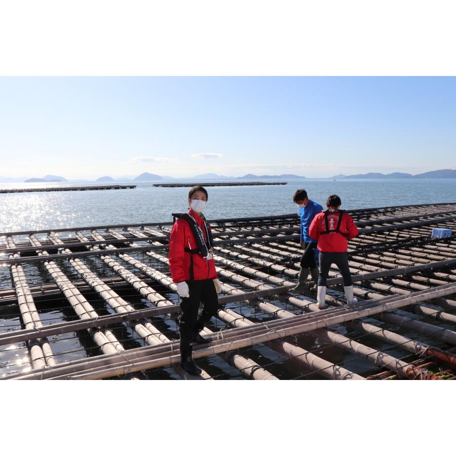 鳶沢 SSP 海デート 莉佳 2枚セット 即購入OK 海鮮セット 北海道 お取り寄せ 特撰 潮彩(しおさい)(5品セット) / 爆買