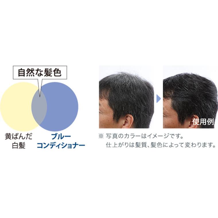 クラン様 アルバートVO5コンソート  ブルーコンディショナー 無香料・整髪料 Amazon.co.jp: サンスター アルバートVO5コンソート ブルー