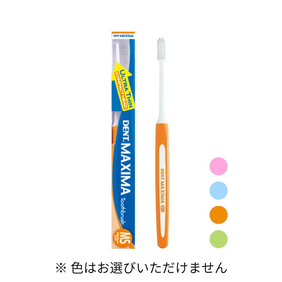ライオデント ライオン DENT. MAXIMA マキシマ 歯ブラシ ミディアム