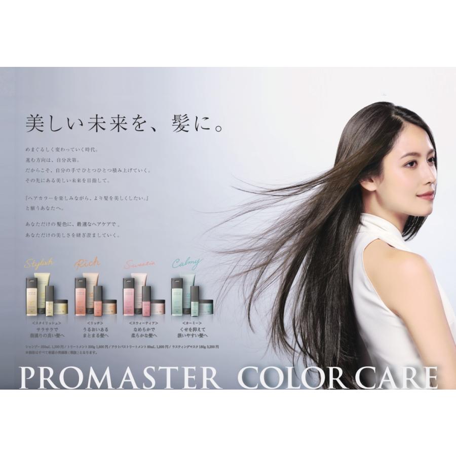 ホーユー プロマスター カラーケア スタイリッシュ シャンプー  
