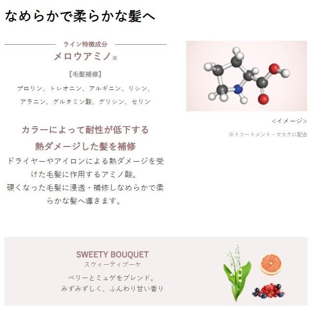 新品 送料無料 ホーユー プロマスター カラーケア Sw スウィーティア シャンプー 600ml メール便は使えません Rmladv Com Br