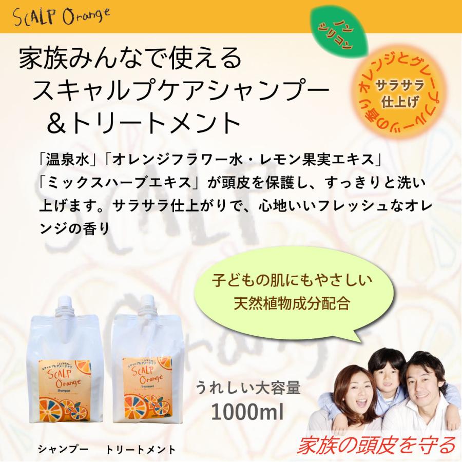 フェルミナ スキャルプオレンジ シャンプー 1000ml ＆ トリートメント