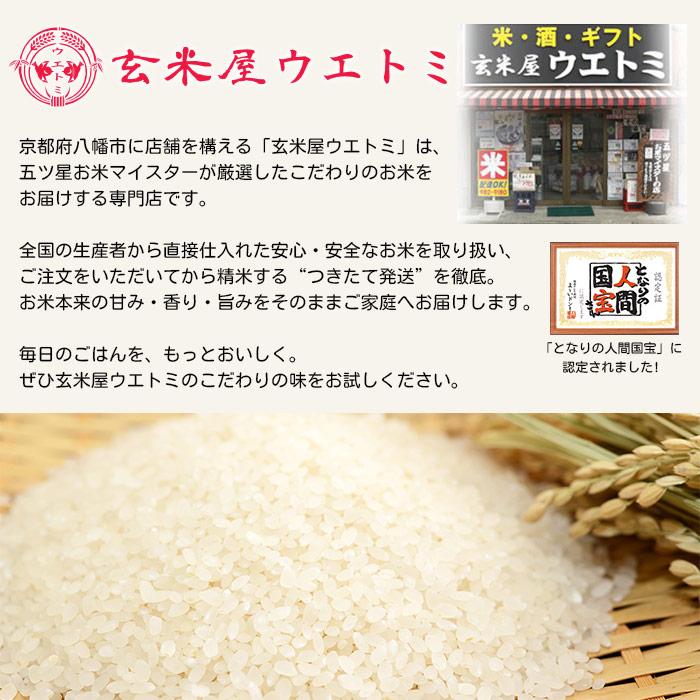 玄米屋ウエトミ 令和7年度産 特別栽培米「京式部(きょうしきぶ) 1kg