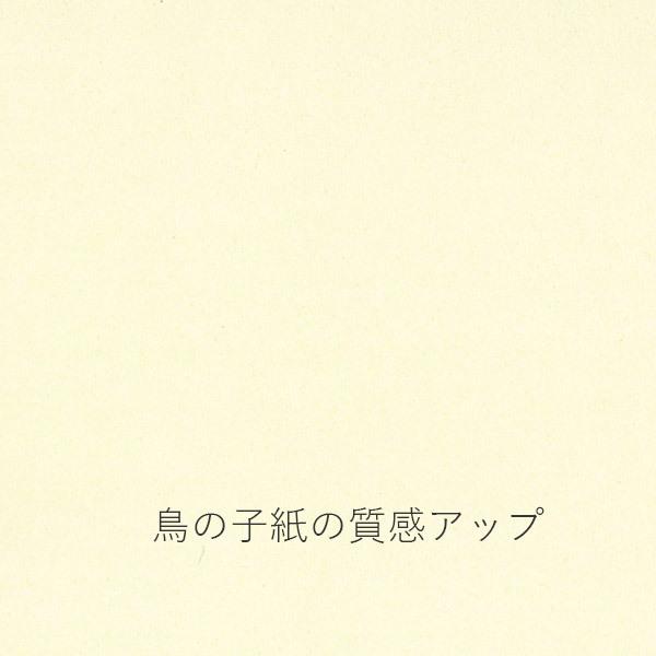 かみもん謹製大色紙 鳥の子紙 無地 50枚セット クリーム色 職人手作りの色紙 まとめ買い 大量 書道 貼り絵 俳画 絵・画 日本画 書画 寄せ書き 卒業 卒園 入…｜kamimon｜03