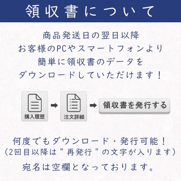 かみもん謹製大色紙 画仙紙・梅 白無地 10枚セット 職人手作りの色紙 まとめ買い 大量 書道 貼り絵 俳画 絵・画 日本画 書画 寄せ書き サイン 卒業 卒園 入…｜kamimon｜06