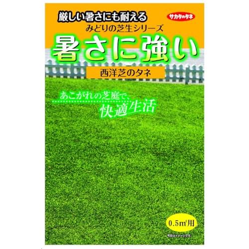 サカタのタネ みどりの芝生 暑さに強い西洋芝のタネ（Yahoo!・上之島屋 US Imports）
