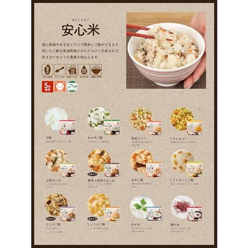 アルファ米 12種4日分セット 非常食 5年 長期保存 保存食 国産米100％使用 国内製造 特定原材料28品目不使用 防災食品 備蓄品 緊急時連絡シート付 防災ダイレク_3