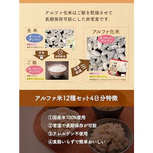 アルファ米 12種4日分セット 非常食 5年 長期保存 保存食 国産米100％使用 国内製造 特定原材料28品目不使用 防災食品 備蓄品 緊急時連絡シート付 防災ダイレク_4