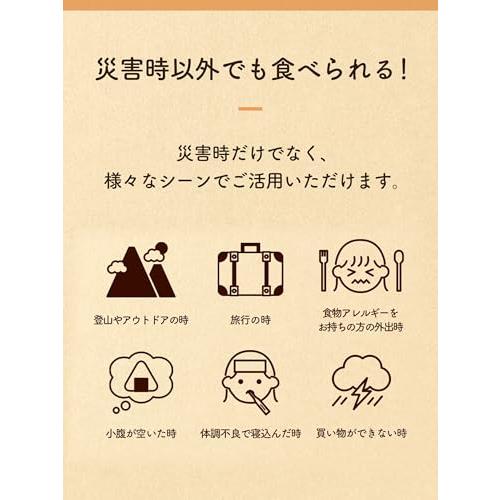 アルファ米 12種4日分セット 非常食 5年 長期保存 保存食 国産米100％使用 国内製造 特定原材料28品目不使用 防災食品 備蓄品 緊急時連絡シート付 防災ダイレク_5