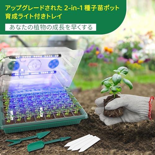 BlumWay 育苗ポット植物育成ライト付き 3個セット 40穴 育苗箱 発芽• BlumWay 育苗ポット植物育成ライト付き 3個セット 40穴 育苗箱 発芽