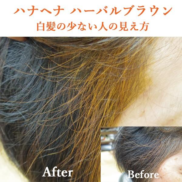 ヘナ ハナヘナ hana henna ハーバルブラウン ニュートラル 100g 各1個