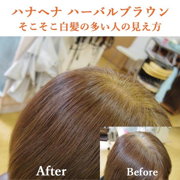 ハナヘナ ハーバルブラウン 100g×6個セット 楽天市場】ハナヘナ・ハーバルブラウン 100g6個セット : DO-S