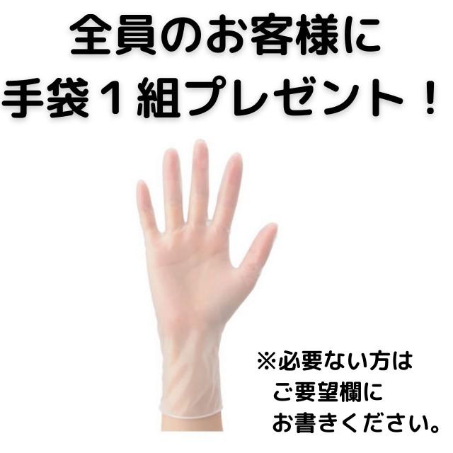 ヘナ ハナヘナ hana henna インディゴ 100g 2個送料お得セット