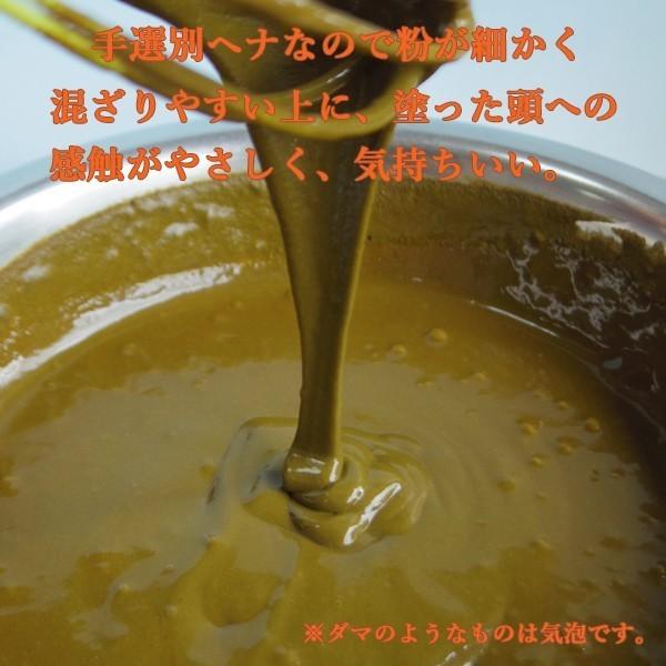 ヘナ ハナヘナ hana henna インディゴ 100g 2個送料お得セット