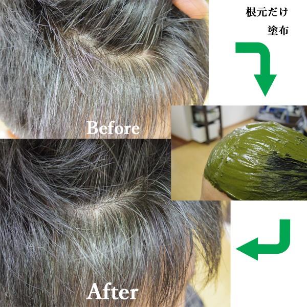 ヘナ ハナヘナ hana henna インディゴ ミックスハーブ 100g 各1