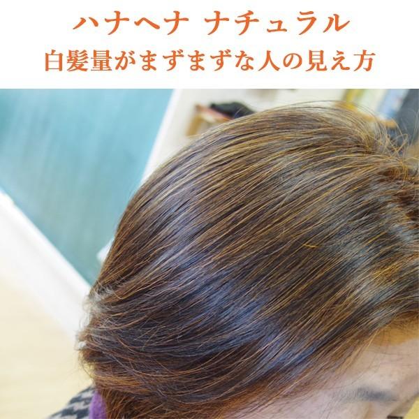 ヘナ ハナヘナ hana henna  ヘナナチュラル 100g 2個送料お得セット 白髪染め オレンジ 口コミ｜kaminoya-kanno｜05